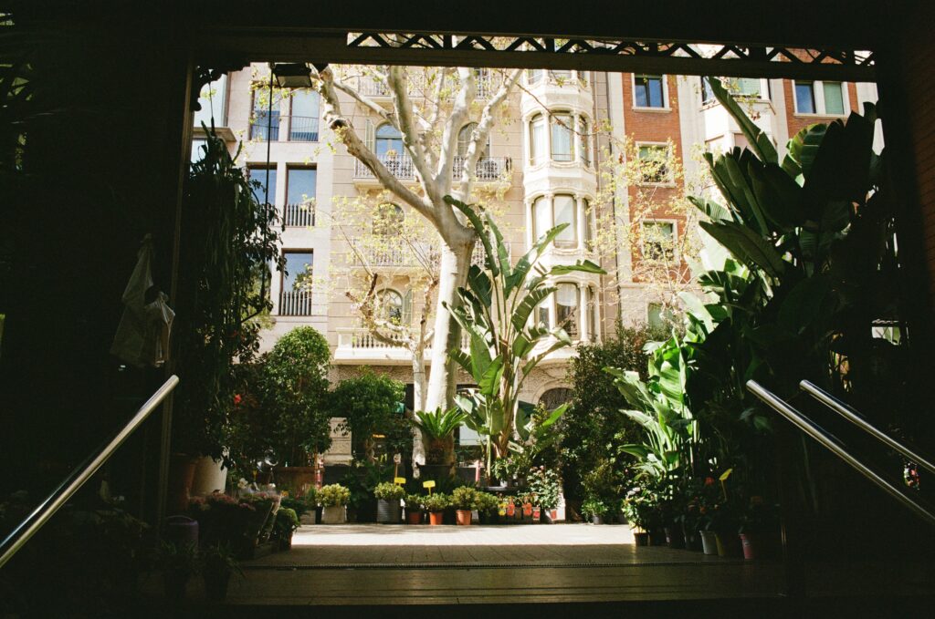 Barcelona Stairs